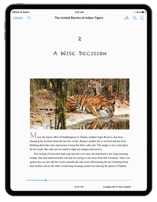 Reflowable epub